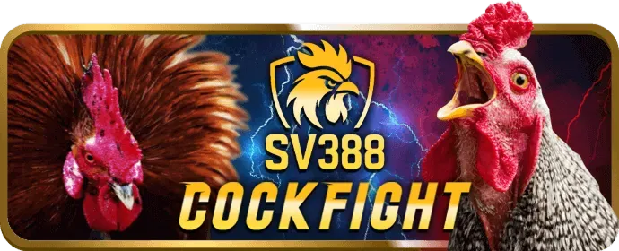 Tổng quan về hn88 bet và giấy phép